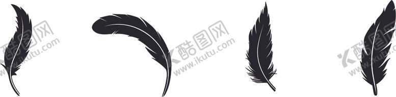 编号：94924512130705167956【酷图网】源文件下载-羽毛