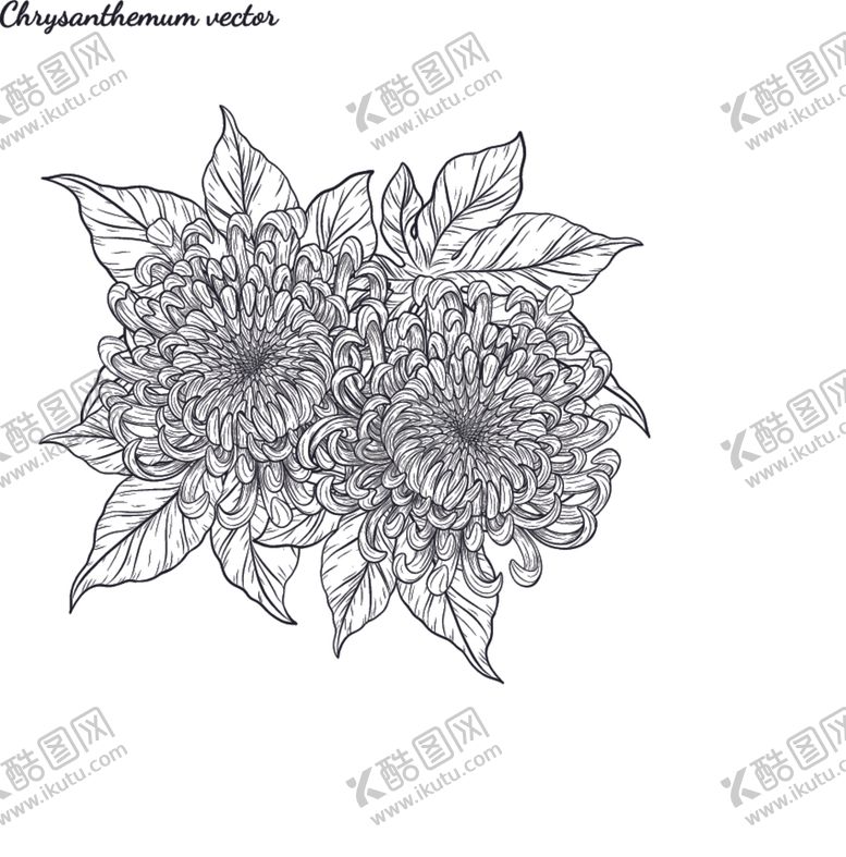 编号：20395010241710584153【酷图网】源文件下载-纯色绘画植物花朵