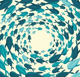 矢量鱼