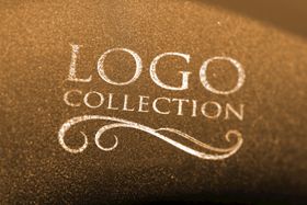 LOGO样机标志贴图贴图