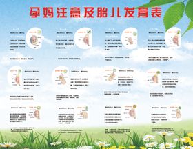 孕妈注意及胎儿发育表