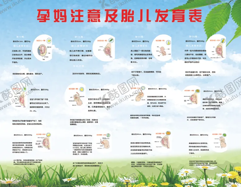 编号：80471006181921552391【酷图网】源文件下载-孕妈注意及胎儿发育表
