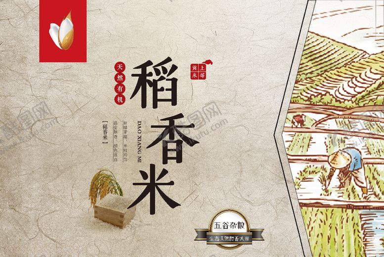 编号：72185409101052232111【酷图网】源文件下载-稻香米