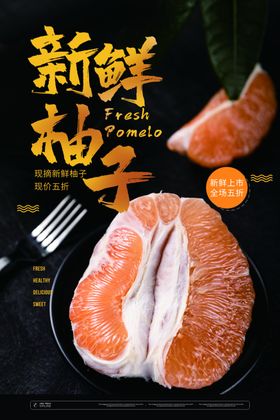 柚子海报