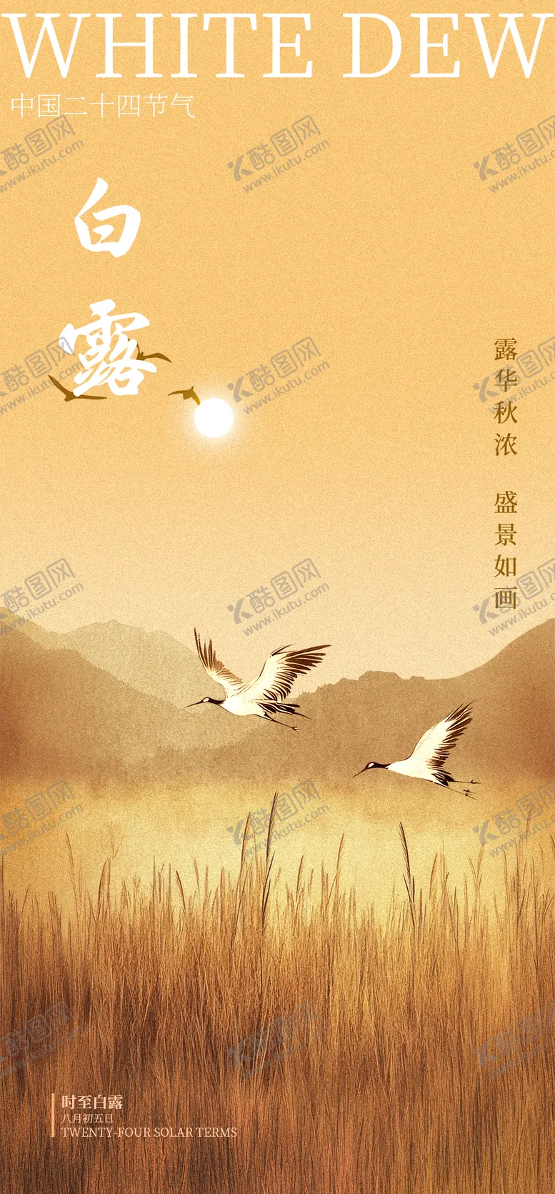 编号：39032112031729367368【酷图网】源文件下载-白露节气海报