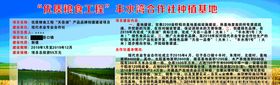 稻虾养殖