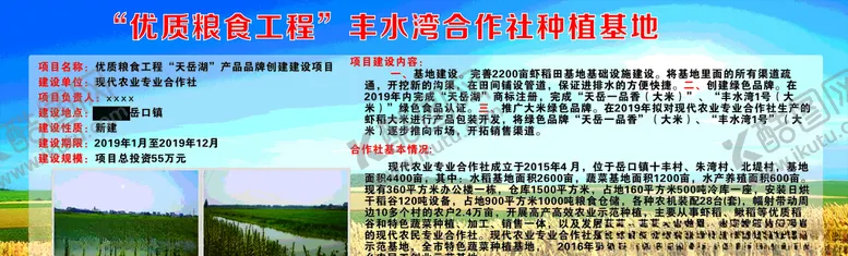 编号：60539409291545257648【酷图网】源文件下载-虾稻宣传