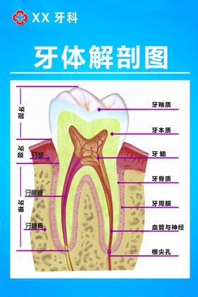 牙科挂画