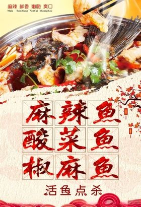 麻辣鱼海报