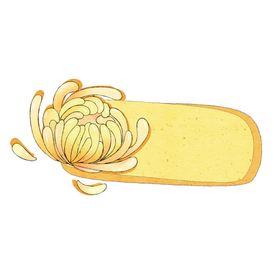 菊花素材