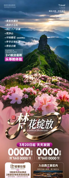 梵花似锦旅游海报