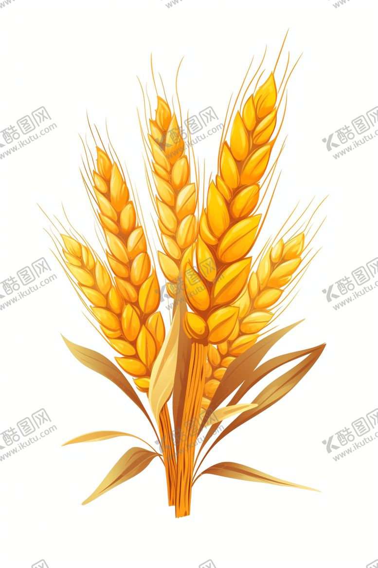 麦穗植物有机食品白色五个物体