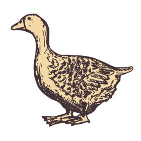 家养动物主题插画