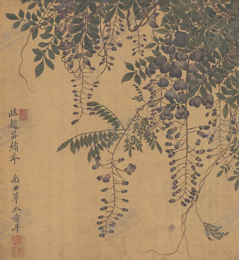 编号：74897406281910491285【酷图网】源文件下载-清代恽寿平花草绘画