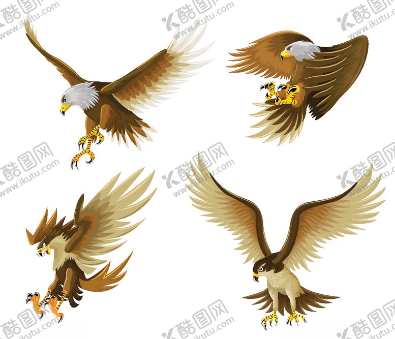 编号：30266210210148433443【酷图网】源文件下载-老鹰矢量素材