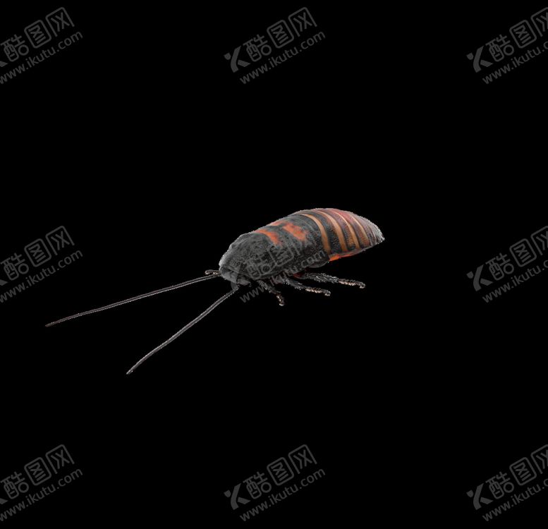 编号：22336109121240333848【酷图网】源文件下载-蟑螂小强