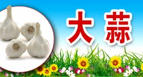 大蒜