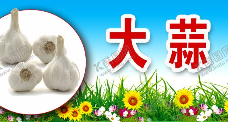 编号：98684509300047017925【酷图网】源文件下载-大蒜