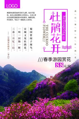 春季赏花