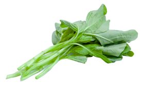 菠菜