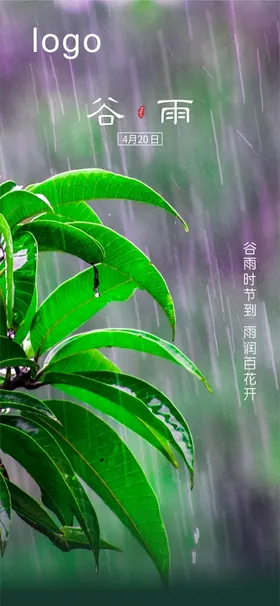 谷雨