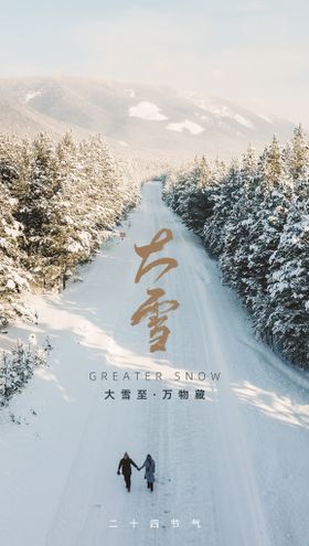  大雪海报 