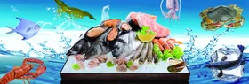 海鲜