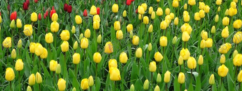 编号：41392911011630129300【酷图网】源文件下载-海报背景