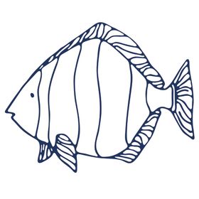 手绘海洋生物