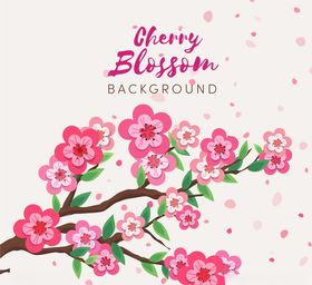 手绘粉色樱花花枝