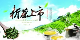 简洁春茶上市新茶上市海报