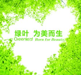 绿叶