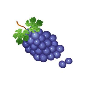 葡萄