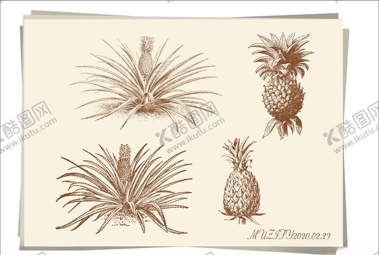 编号：54240411011228222641【酷图网】源文件下载-菠萝手绘稿