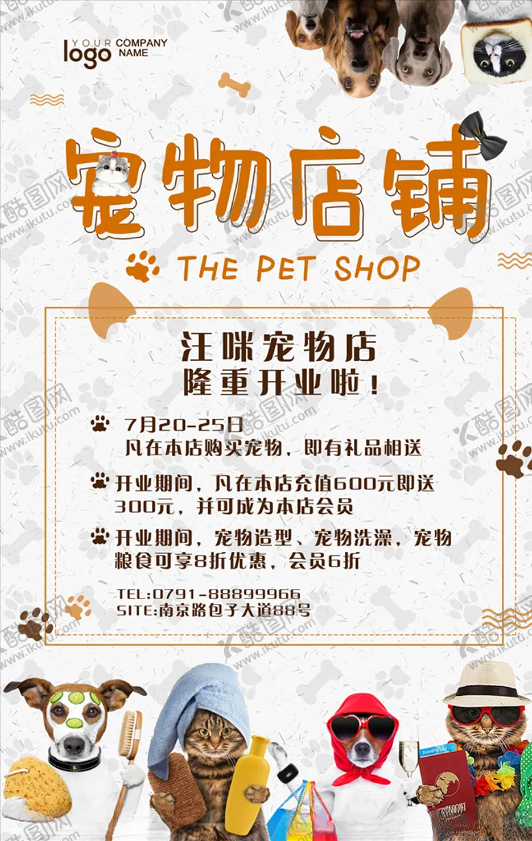 编号：71348106142338559454【酷图网】源文件下载-宠物海报