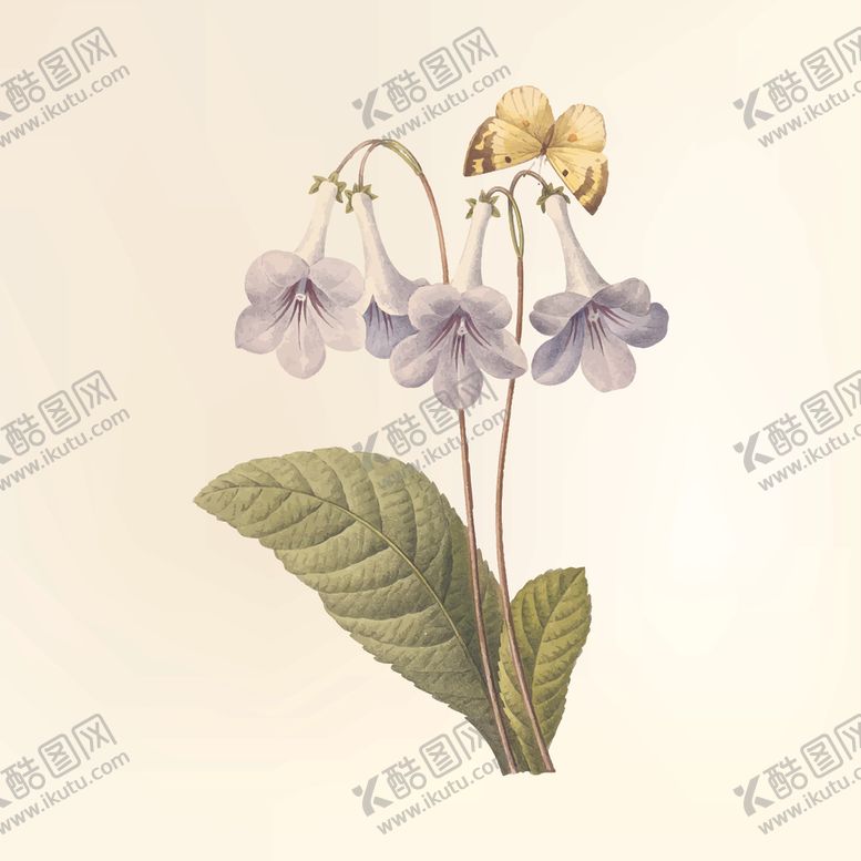 编号：86648807121059264692【酷图网】源文件下载-花纹