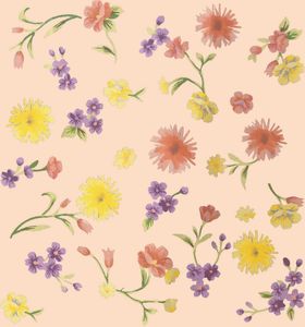 月季花