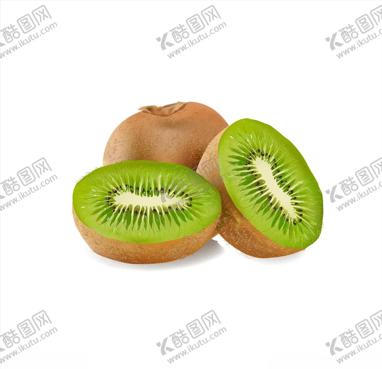 编号：81059506142255402076【酷图网】源文件下载-猕猴桃