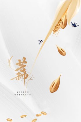 芒种海报宣传节气