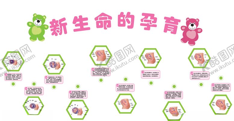 编号：37709804281232508559【酷图网】源文件下载-新生命的孕育