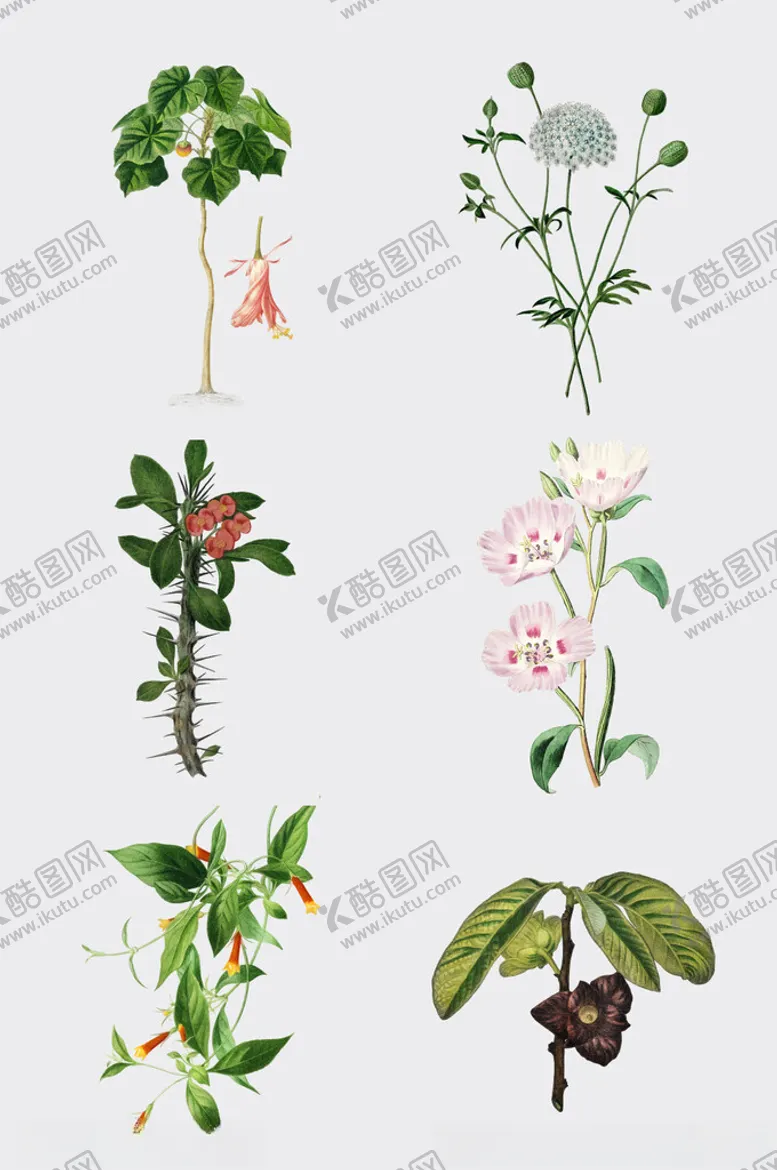编号：17112502270431094574【酷图网】源文件下载-手绘水彩绿植插画元素