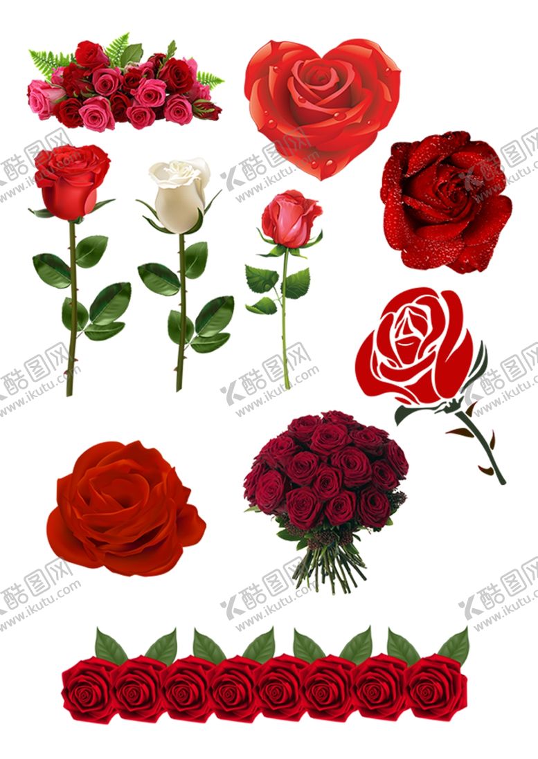 编号：17095310081439201831【酷图网】源文件下载-玫瑰