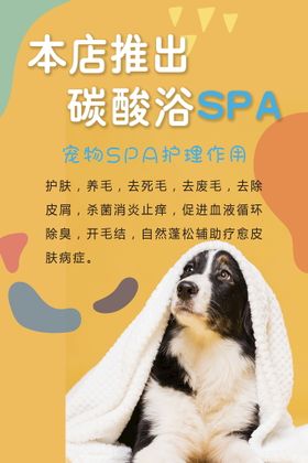 宠物碳酸浴SPA