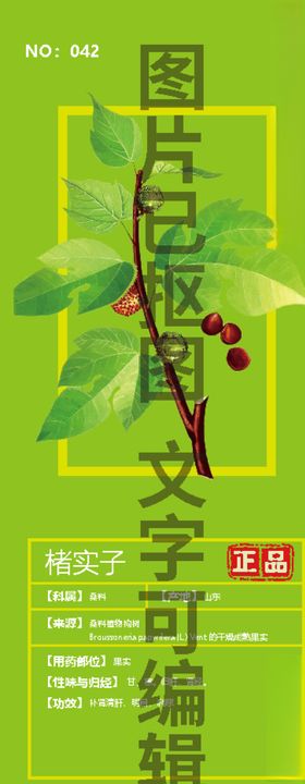 楮实子