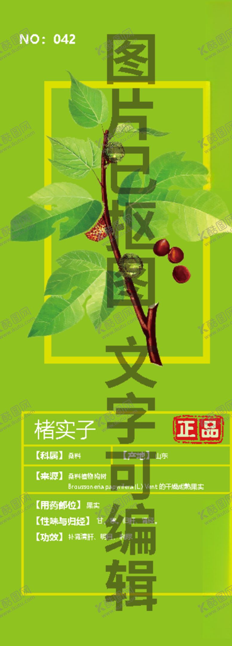 编号：42968806232003299830【酷图网】源文件下载-楮实子