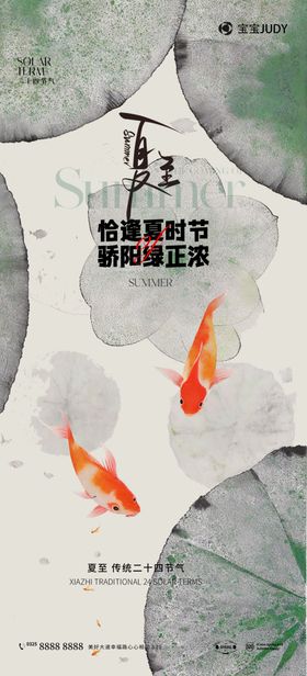 夏至小暑地产蜻蜓