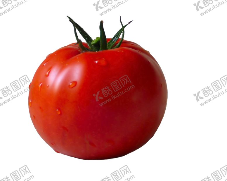 编号：24301709220526121871【酷图网】源文件下载-西红柿
