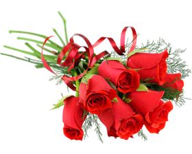 玫瑰花