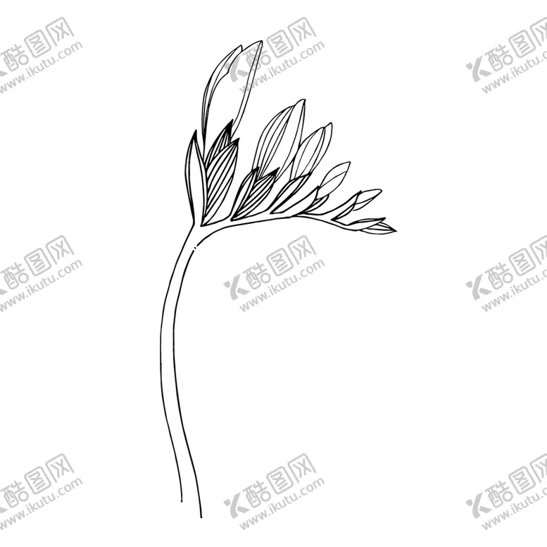 编号：75094809180842426840【酷图网】源文件下载-植物白描速写     