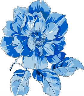 多彩花